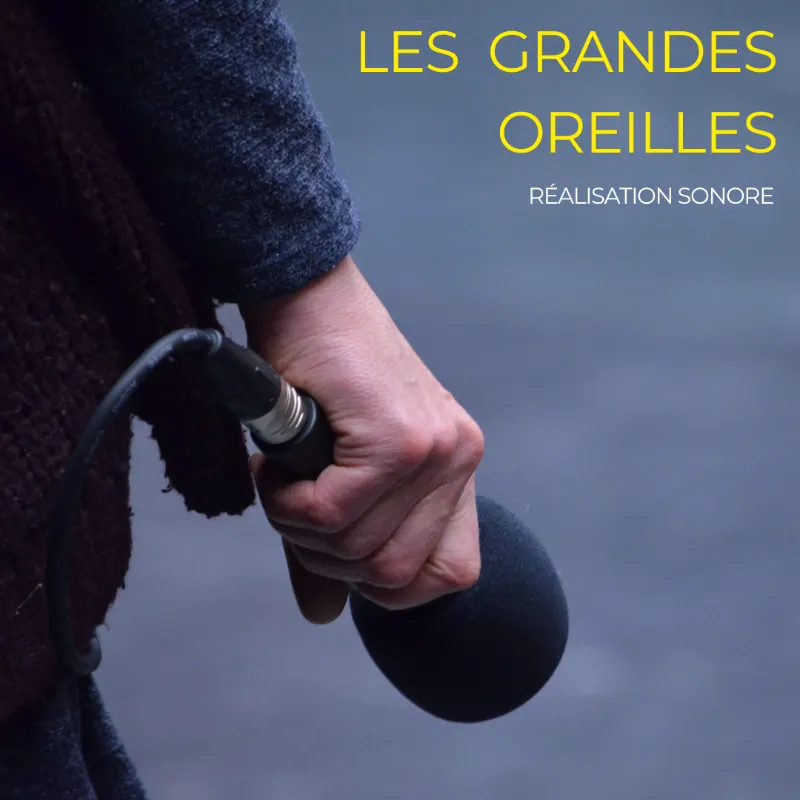 Logo de la compagnie Les Grandes Oreilles